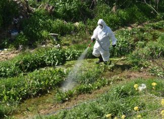 Ψεκασμοί για την καταπολέμηση των κουνουπιών από την Περιφερειακή Ενότητα Δυτικής Αττικής