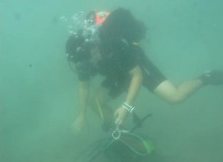 Μάζεψαν 212 κιλά σκουπίδια από το βυθό της Πάχης Μεγάρων