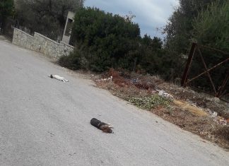 Θανάτωσαν αδέσποτα στην Ψάθα