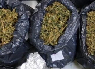 Έκρυβε 60 κιλά κάνναβη σε σπηλιά στη Λακωνία