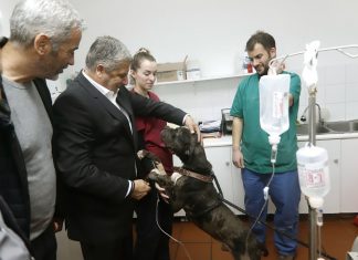 Ασθενοφόρο & γεννήτρια για το Διαδημοτικό Κέντρο Περίθαλψης Αδέσποτων Ζώων από την Περιφέρεια Αττικής
