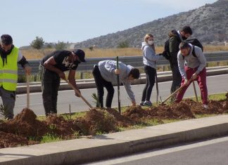 Δεντροφύτευση στην Περιφερειακή Λεωφόρο Αιγάλεω