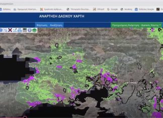 Διαδικτυακή ενημέρωση για τους δασικούς χάρτες από τον συνδυασμό “Μαζί με όραμα”