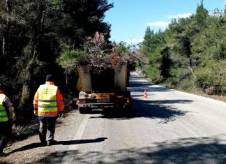 Προετοιμασία εν όψει αντιπυρικής περιόδου στα δάση της Δυτ. Αττικής