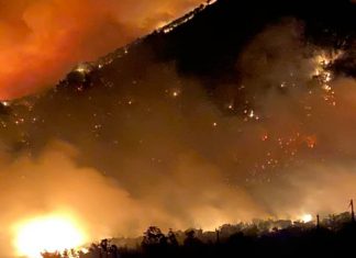 Στάχτη 20 χιλιάδες στρέμματα δάσους