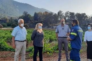 ΣΥΡΙΖΑ: Η Δυτική Αττική αιμορραγεί για μια ακόμη φορά