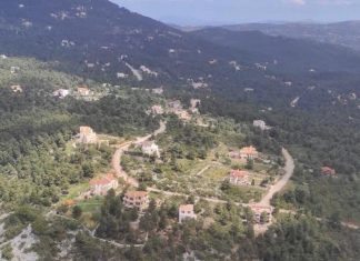 Αντιπυρική περίοδος: Καθαρισμοί σε 18 περιοχές της Αττικής