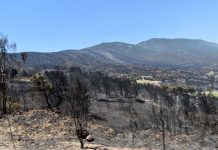 Παράταση προθεσμιών για άδειες επισκευής κτηρίων και βεβαιώσεις περαίωσης εργασιών για τους πυρόπληκτους του 2021