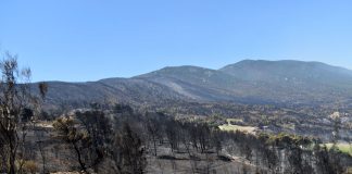 Παράταση προθεσμιών για άδειες επισκευής κτηρίων και βεβαιώσεις περαίωσης εργασιών για τους πυρόπληκτους του 2021