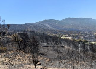 52.000 στρέμματα δάσους κάηκαν σύμφωνα με νεότερη ανάλυση του Αστεροσκοπείου