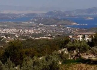 Έκκληση για ενίσχυση συνθηκών πυρασφάλειας στον Καβελάρη Μεγάρων