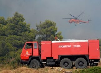 250.000 ευρώ έκτακτη χρηματοδότηση για αντιπυρική προστασία στον Δήμο Μάνδρας-Ειδυλλίας