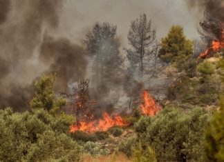 Σε έκτακτη ανάγκη κηρύχθηκε ο Δήμος Μάνδρας-Ειδυλλίας-Ερυθρών-Οινόης