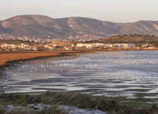 Καταπολέμηση των κουνουπιών με ψεκασμό με drone στον υγροβιότοπο του Βουρκαρίου Μεγάρων από την Περιφερειακή Ενότητα Δυτικής Αττικής