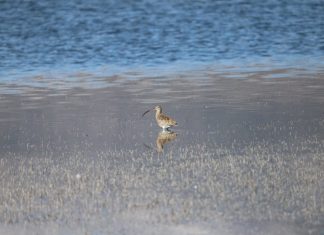 Αναβάλλεται λόγω καιρού ο εθελοντικός καθαρισμός στο Βουρκάρι Μεγάρων