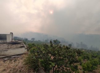 Αποζημιώσεις δύο ταχυτήτων για τις πυρκαγιές: Αντιδράσεις των αγροτών που θα περιμένουν 3 χρόνια