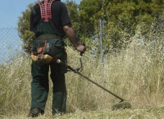 Επιπλέον χρηματοδότηση 1,3 εκατ. ευρώ στους δήμους της Αττικής για το μάζεμα των ξερών χόρτων