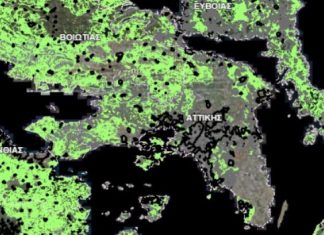 Δασικοί χάρτες: Όλες οι πληροφορίες μέσα από 60 ερωτήσεις-απαντήσεις