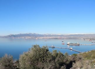 Κόλπος Ελευσίνας: Μείωση ρύπανσης, αύξηση θαλάσσιας ζωής