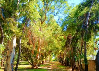 Ecoculture Festival στην “Όαση” της Πολιτιστικής Πρωτεύουσας της Ευρώπης