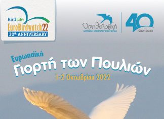 Ευρωπαϊκή Γιορτή των Πουλιών με εργαστήρια για παιδιά στον υγρότοπο του Βουρκαρίου Μεγάρων