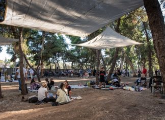 Ecoculture Festival: Ένα φεστιβάλ για το περιβάλλον στην Πολιτιστική Πρωτεύουσα της Ευρώπης