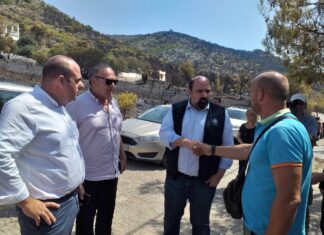 Πυρκαγιές: Σε πόσες κατοικίες και χώρους καταγράφηκαν ζημιές σε Δήμο Μεγαρέων και Μάνδρας