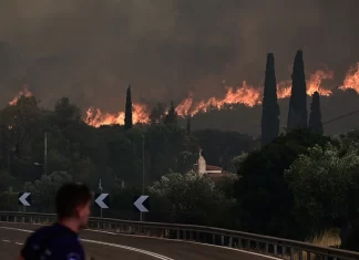 Φωτιά: Δραματικές ώρες σε Μάνδρα και Λουτράκι