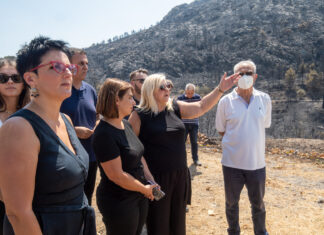 ΣΥΡΙΖΑ: Θλίψη για τις απώλειες και τις καταστροφές