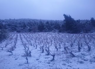 Αποτίμηση των ενεργειών της Περιφέρειας Αττικής – Π. Ε . Δυτικής Αττικής με αφορμή την κακοκαιρία «Avgi»