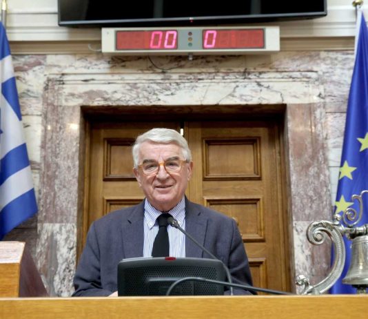 Ελλείψεις σε εκπαιδευτικό προσωπικό στις σχολικές μονάδες του Δήμου Ελευσίνας – Αναφορά στην Υπουργό Παιδείας από τον Θ. Μπούρα
