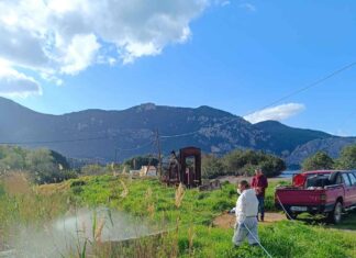 Πρόγραμμα καταπολέμησης κουνουπιών έτους 2025 στη Δυτική Αττική