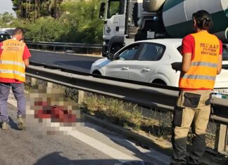 Το πρώτο τροχαίο με αγριογούρουνο στην εθνική Αθηνών -Κορίνθου, στο ύψος του Χαϊδαρίου