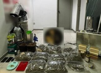 Κινέτα: Βρέθηκε εργαστήριο καλλιέργειας κάνναβης σε σπίτι – «καβάτζα», συνελήφθησαν δύο άντρες (βίντεο)