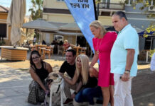 Γιορτή υιοθεσίας αδέσποτων ζώων σε συνεργασία με την Περιφέρεια Αττικής στην Ελευσίνα