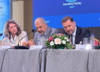 15ετές πρόγραμμα εγχώριων ναυπηγήσεων για το Πολεμικό Ναυτικό με πλοία – υποβρύχια