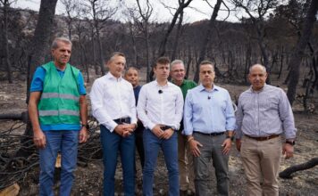 Ξεκίνησαν τα έργα αποκατάστασης των πυρκαγιών – Αυτοψία του Υπουργού Περιβάλλοντος
