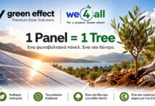 Green Effect & We4all ενώνουν δυνάμεις: Για κάθε φωτοβολταϊκό πάνελ, ένα νέο δέντρο στην Ελλάδα