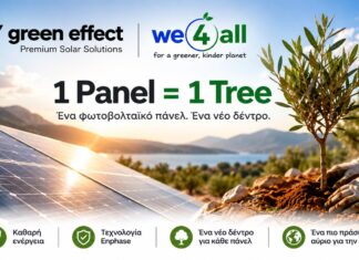 Green Effect & We4all ενώνουν δυνάμεις: Για κάθε φωτοβολταϊκό πάνελ, ένα νέο δέντρο στην Ελλάδα