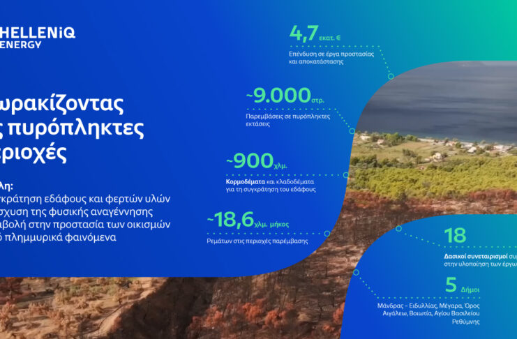 Πρoστατευμένο: Από την αποκατάσταση στην πρόληψη: Πώς τα αντιδιαβρωτικά έργα προστατεύουν τις πυρόπληκτες περιοχές